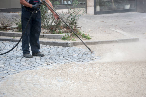 Best Gutter Cleaning  in San Lorenzo, CA